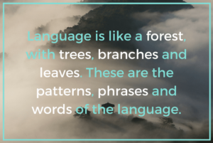 thelinguist quietly observe phrases tao