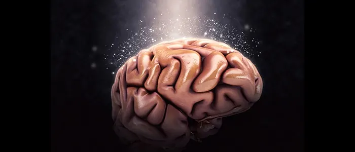 Learning two languages at once