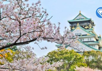 5 Astuces Pour Vous Aider À Apprendre Le Japonais
